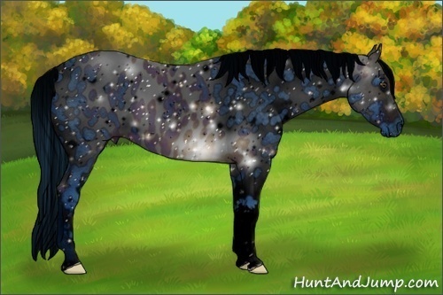 Horse Color:ERROR: UNKNOWN ANOMALY