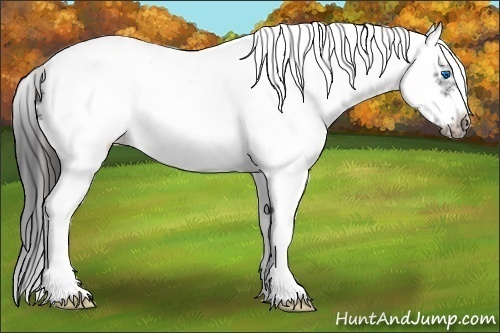 Horse Color:White Spotted Black Splash Frame Blanket 
