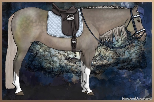 Horse Color:Silver Black Tobiano