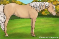 Horse Color:Silver Sable Champagne 
