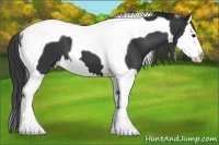 Horse Color:Black Splash Tobiano