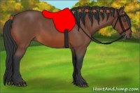 Horse Color:Bay Roan