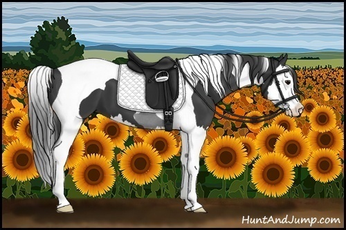 Horse Color:Black Splash Tobiano