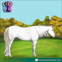 Horse Color:Black Pearl Sabino Rabicano 