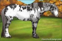 Horse Color:Liver Chestnut Frame Blanket 