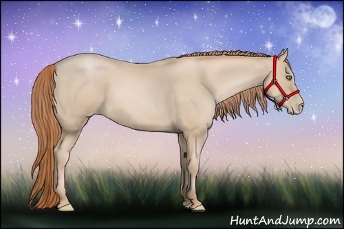 Horse Color:Smoky Black Pearl 