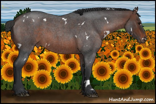 Horse Color:White Spotted Brown Roan 