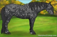 Horse Color:Black Ice 