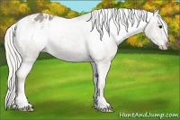 Horse Color:Silver Smoky Black Ice Appaloosa