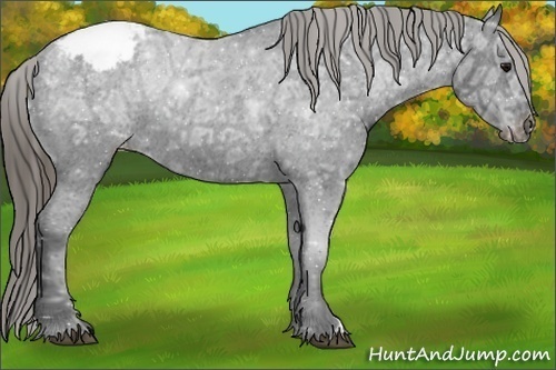 Horse Color:Smoky Black Ice Appaloosa
