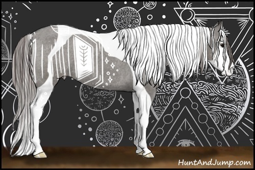Horse Color:Grullo Sabino Tobiano Varnish