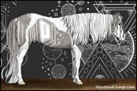 Horse Color:Grullo Sabino Tobiano Appaloosa