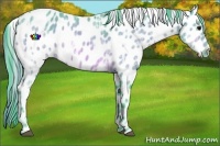 Horse Color:Watercolor Bay Ice Appaloosa 