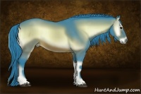 Horse Color:Watercolor Brown Onyx