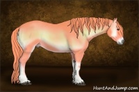 Horse Color:Watercolor Red Onyx 