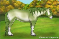Horse Color:Watercolor Red Onyx