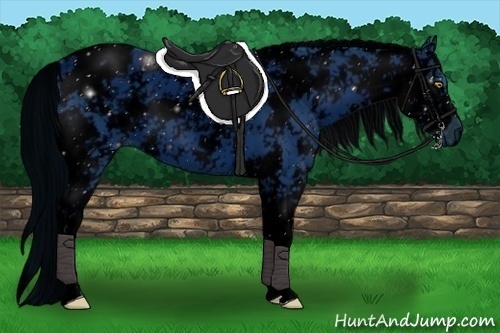 Horse Color:ERROR: UNKNOWN ANOMALY