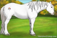 Horse Color:Liver Red Dun Roan Splash Snowflake Varnish