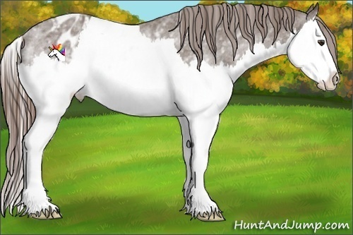 Horse Color:White Spotted Liver Chestnut Splash Blanket Rabicano 