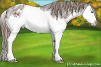 Horse Color:White Spotted Liver Chestnut Splash Blanket Rabicano