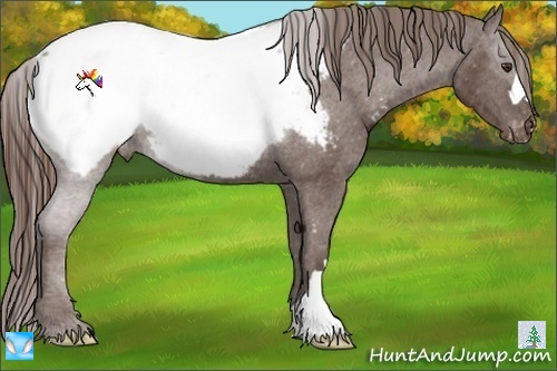 Horse Color:Liver Chestnut Near Fewspot 