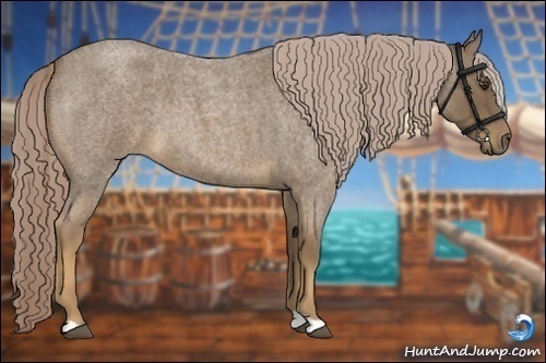 Horse Color:Chocolate Palomino Roan