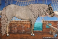 Horse Color:Chocolate Palomino Roan 