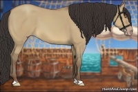 Horse Color:Sable Champagne Dun 