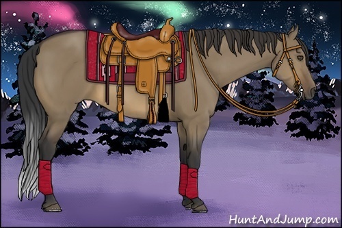 Horse Color:Buckskin Dun 