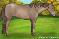 Horse Color:Black Pearl 