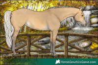 Horse Color:Silver Buckskin Dun 