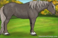 Horse Color:Silver Black 