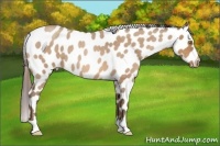 Horse Color:Sable Champagne Roan Snowflake Varnish