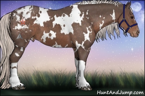 Horse Color:White Spotted Silver Black Varnish 