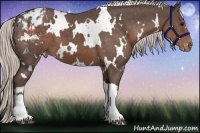 Horse Color:White Spotted Silver Black Varnish