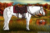 Horse Color:Silver Black Sabino 