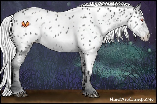Horse Color:White Spotted Silver Blue Chinchilla Roan Appaloosa Rabicano 