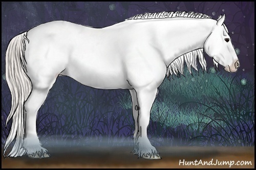 Horse Color:White Spotted Silver Black Appaloosa 