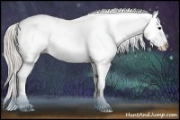 Horse Color:White Spotted Silver Black Appaloosa 