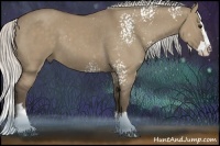 Horse Color:White Spotted Silver Grullo Splash