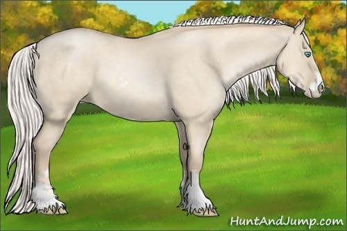 Horse Color:Silver Smoky Grullo Pearl Sabino