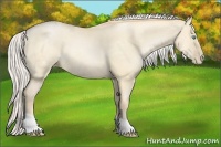 Horse Color:Silver Buckskin Pearl Dun 