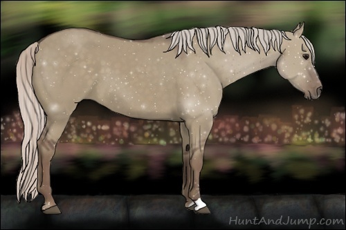 Horse Color:Silver Grullo Sabino