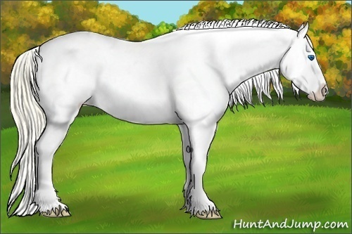 Horse Color:Smoky Creme Ice Splash Appaloosa 