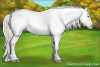 Horse Color:Smoky Creme Ice Splash Leopard