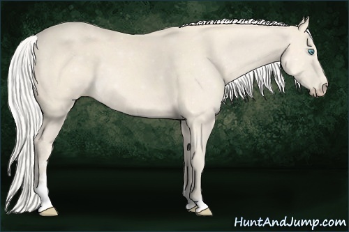 Horse Color:Silver Perlino Sabino