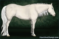 Horse Color:Silver Perlino Sabino