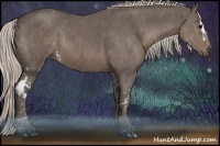 Horse Color:White Spotted Silver Black  Brindle