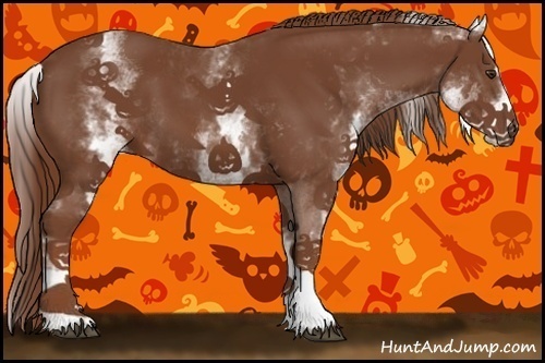 Horse Color:White Spotted Chestnut Sabino