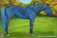 Horse Color:ERROR: UNKNOWN ANOMALY
